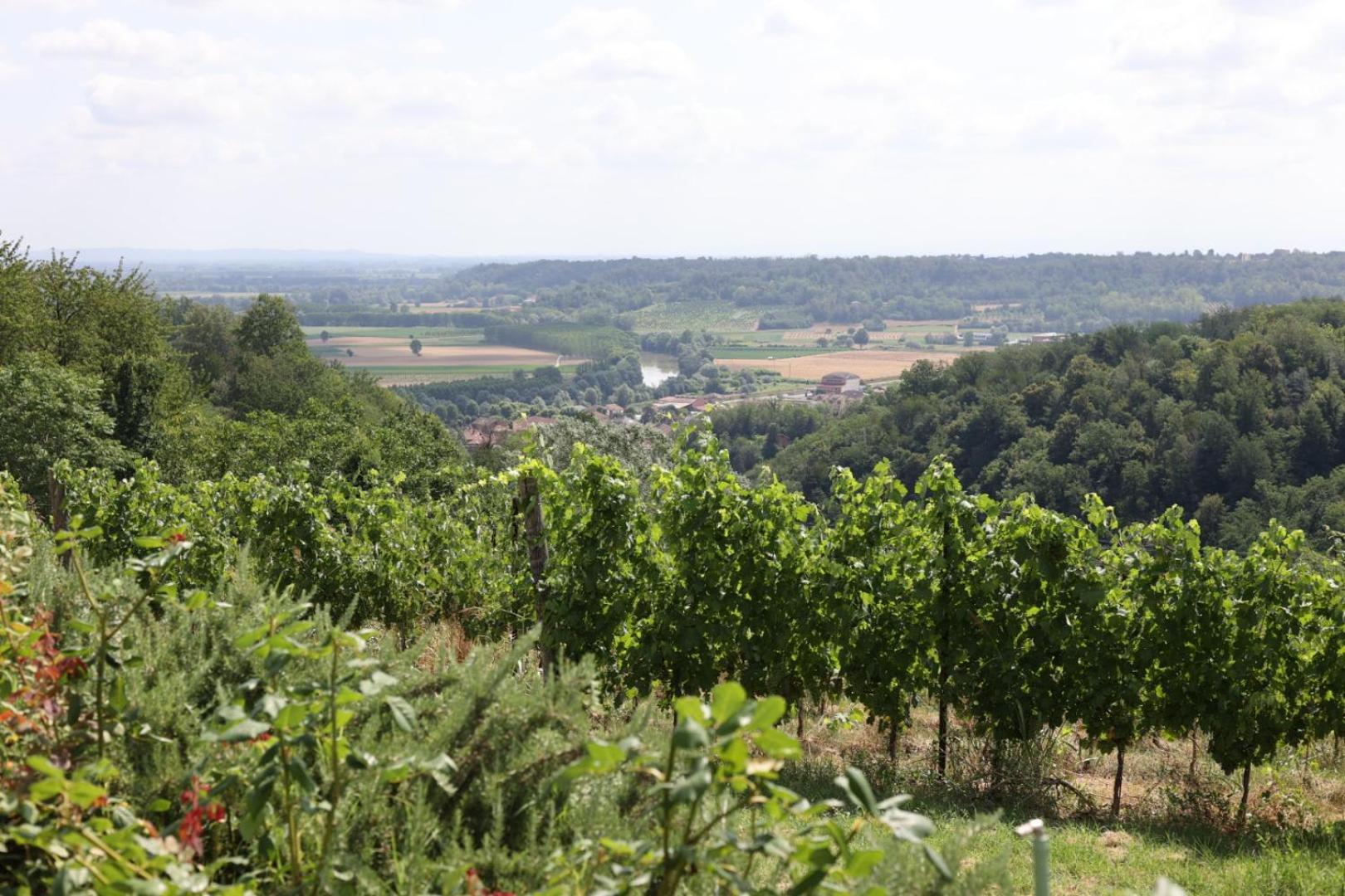 Braida Wine Resort Rocchetta Tanaro ภายนอก รูปภาพ